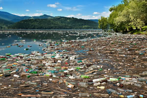 new_zealand_enviroment New Zealand Enviroment