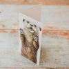 Wild Grey Fox Otter Card